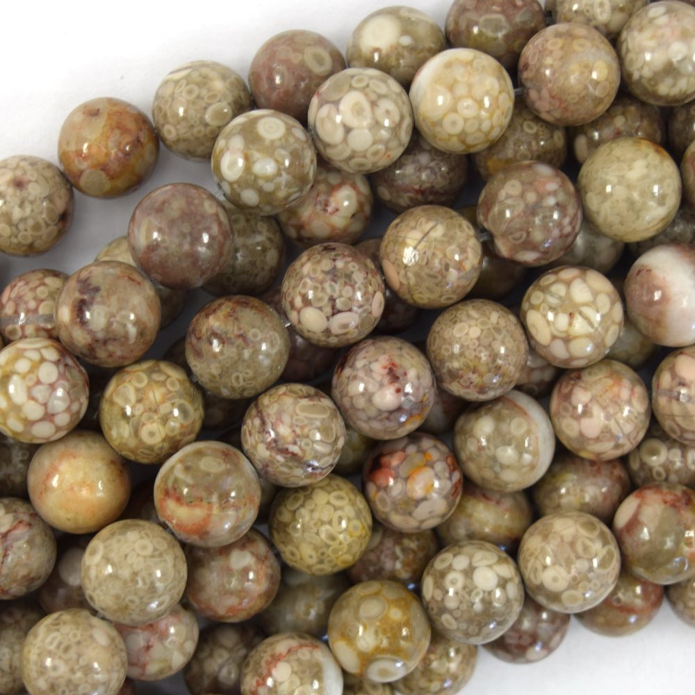 Natural Fossil Jasper Round Beads Gemstone 15.5" Strand 6mm 8mm 10mm - Eagle Beadz