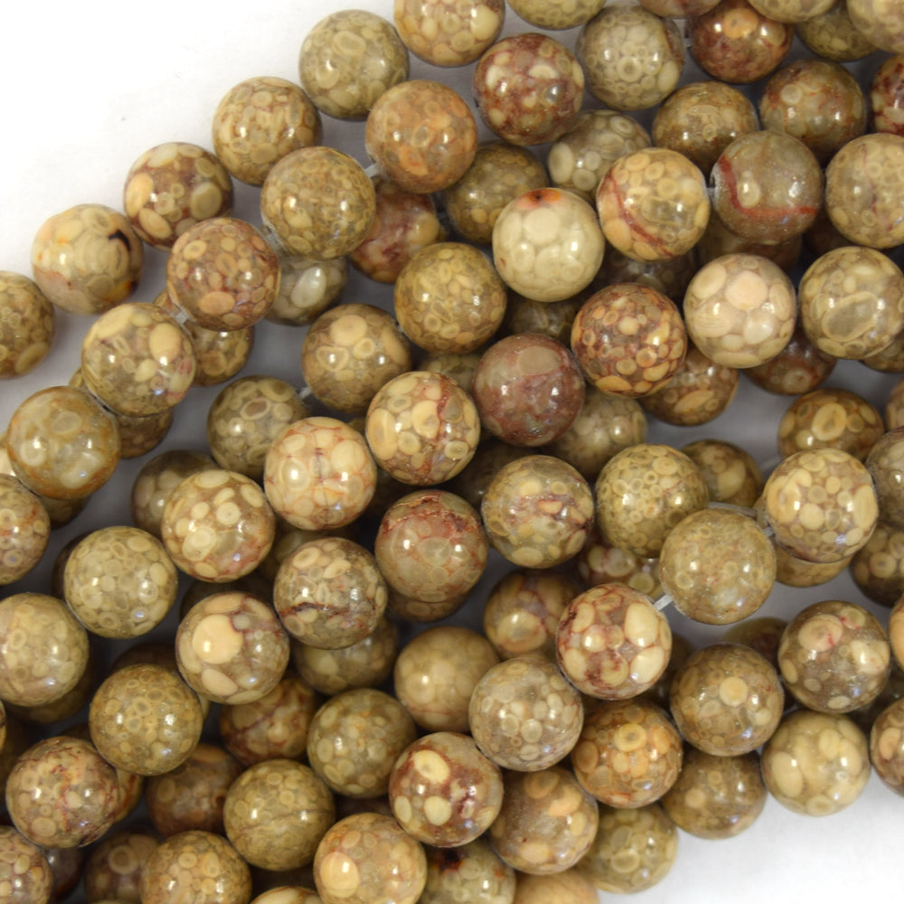 Natural Fossil Jasper Round Beads Gemstone 15.5" Strand 6mm 8mm 10mm - Eagle Beadz