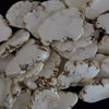 35mm - 40mm white turquoise slab slice nugget beads 15.5