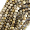Natural Silver Leaf Jasper Round Beads 15.5