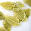 70mm lemon jade carved leaf beads 12