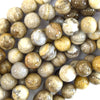 Natural Silver Leaf Jasper Round Beads 15.5